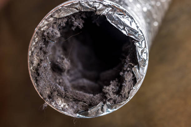 Best Best Air Duct Cleaning Company  in Clayton, GA