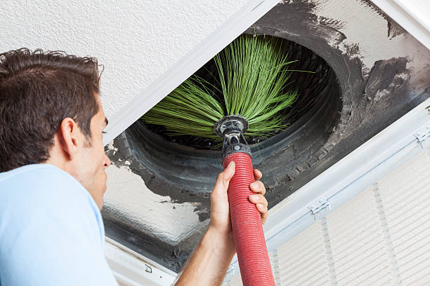 Best Air Duct Sanitizing Services  in Clayton, GA