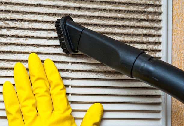 Best Home Air Vent Cleaning  in Clayton, GA